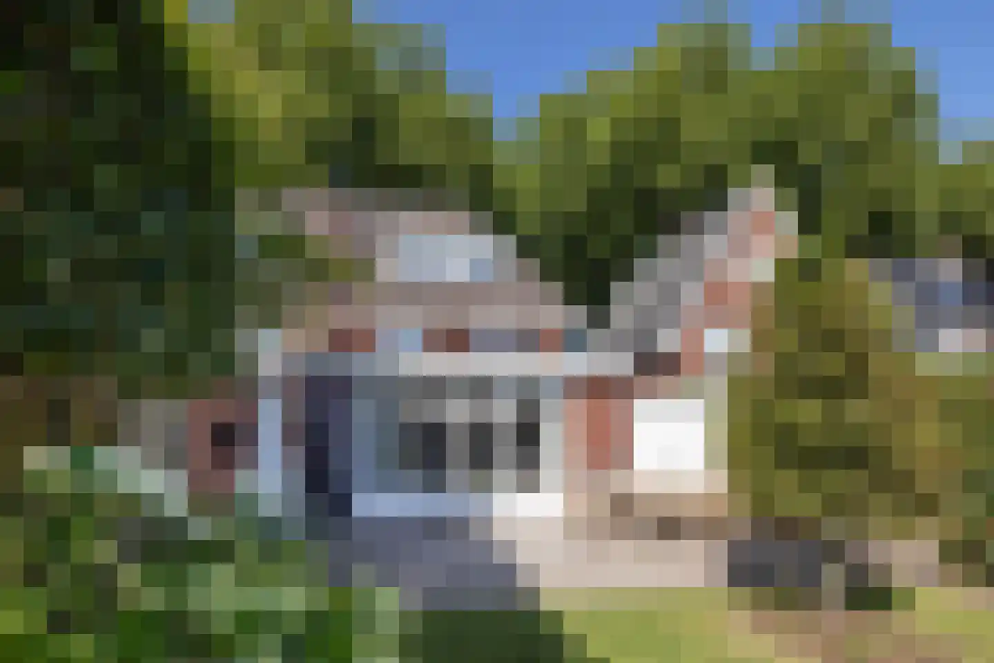 Dr. A. Kuyperstraat 26 Hengelo thumbnail 32
