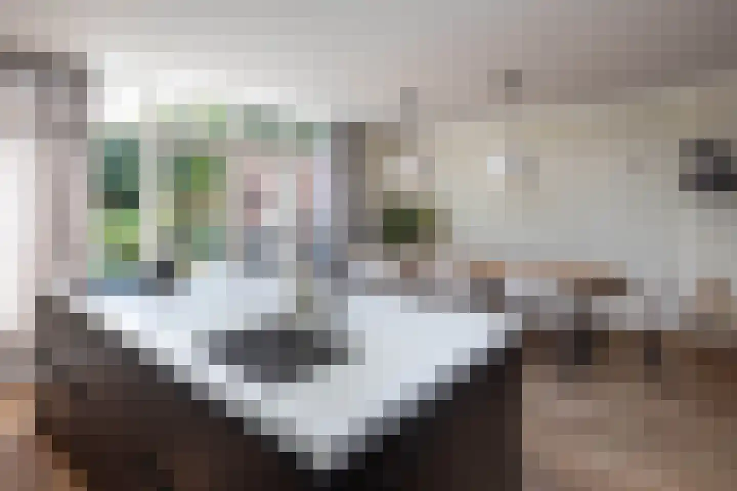 Dr. A. Kuyperstraat 26 Hengelo thumbnail 4