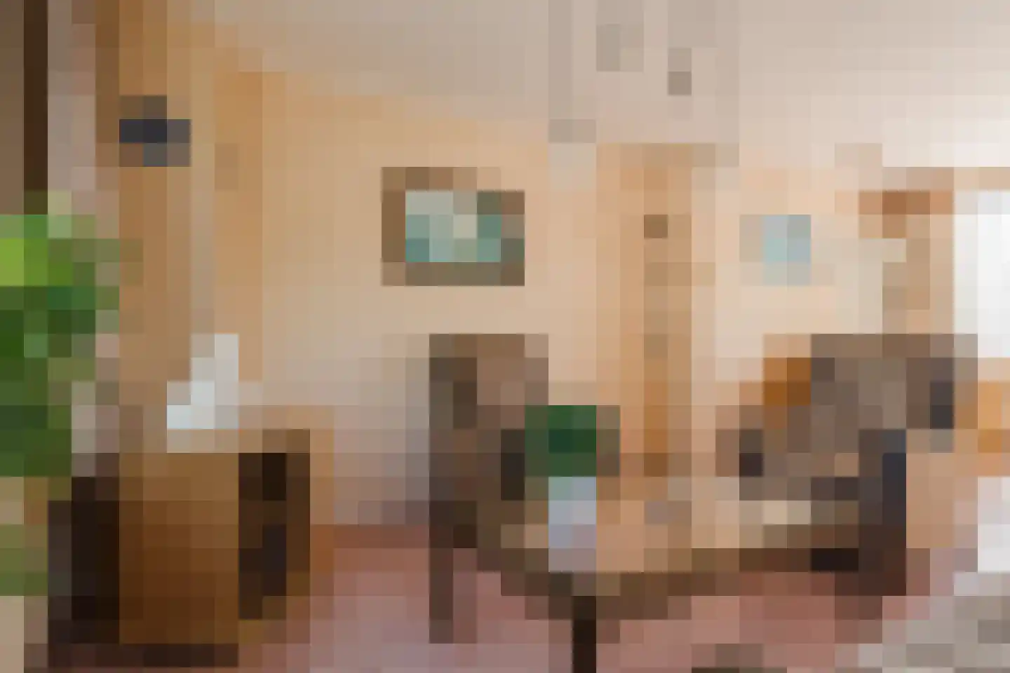 Dr. A. Kuyperstraat 27 Assen thumbnail 6