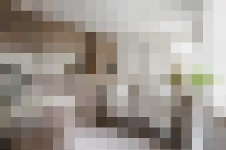 Dr. A. Kuyperstraat 44 Hengelo thumbnail 12