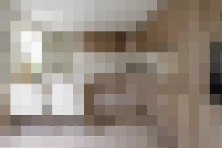 Dr. A. Kuyperstraat 44 Hengelo thumbnail 16