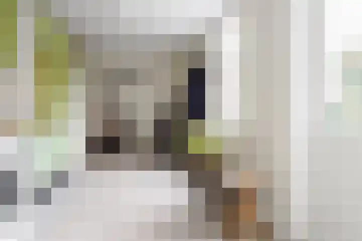 Dr. A. Kuyperstraat 44 Hengelo thumbnail 19