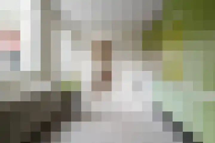 Dr. A. Kuyperstraat 44 Hengelo thumbnail 20