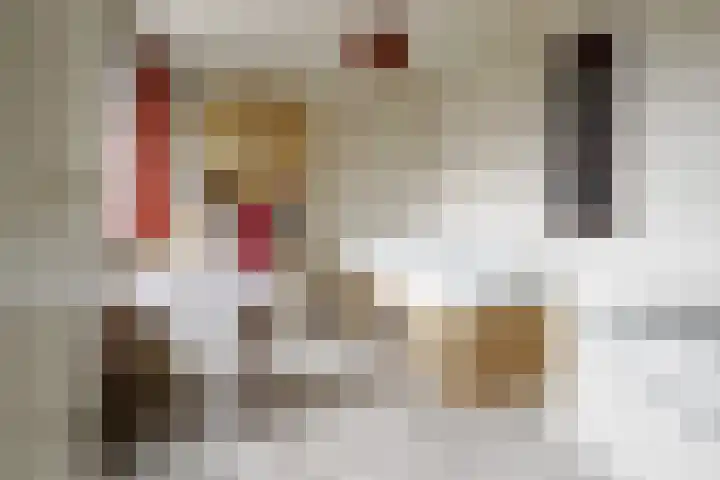 Dr. A. Kuyperstraat 44 Hengelo thumbnail 24