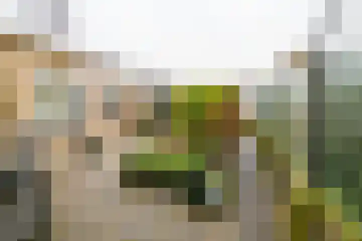 Dr. A. Kuyperstraat 44 Hengelo thumbnail 30
