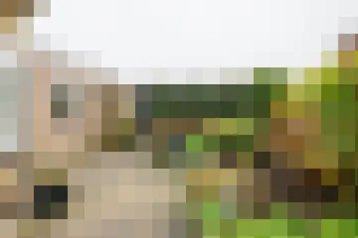 Dr. A. Kuyperstraat 44 Hengelo thumbnail 31