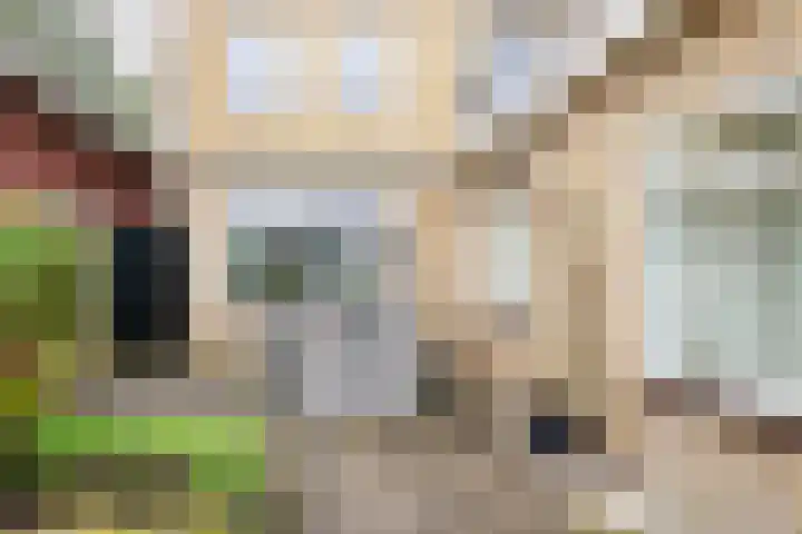 Dr. A. Kuyperstraat 44 Hengelo thumbnail 32