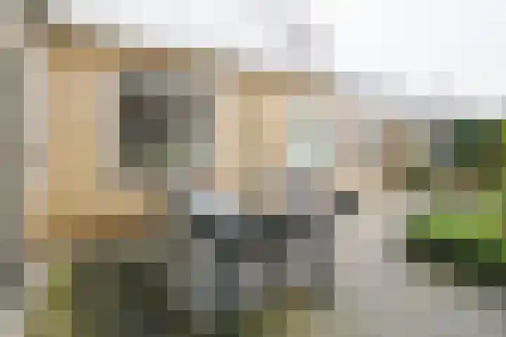 Dr. A. Kuyperstraat 44 Hengelo thumbnail 34