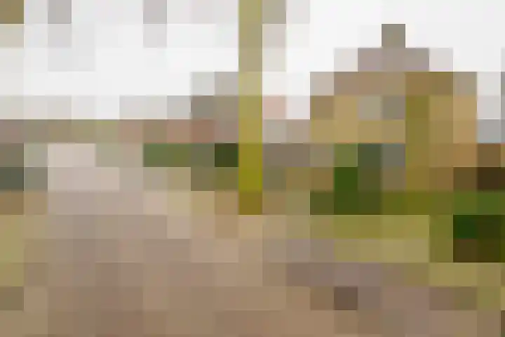 Dr. A. Kuyperstraat 44 Hengelo thumbnail 37