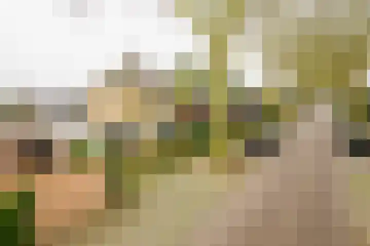 Dr. A. Kuyperstraat 44 Hengelo thumbnail 38