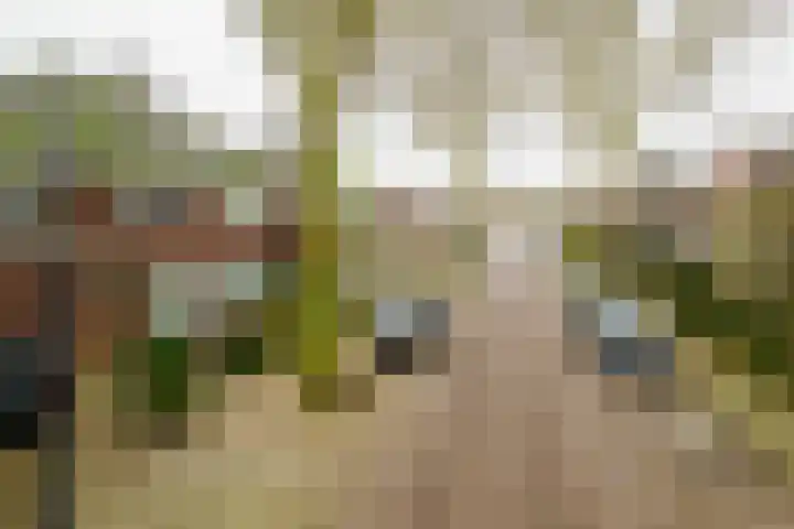 Dr. A. Kuyperstraat 44 Hengelo thumbnail 39