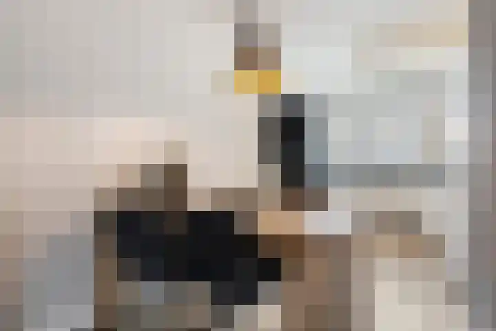 Dr. A. Kuyperstraat 5 Lunteren thumbnail 13