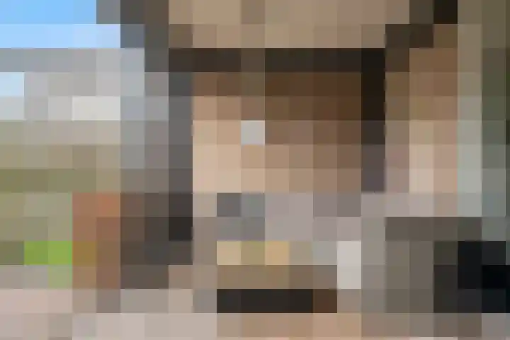 Dr. A. Kuyperstraat 5 Lunteren thumbnail 34