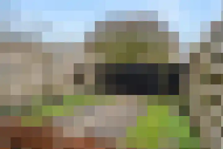 Dr. A. Kuyperstraat 5 Lunteren thumbnail 36