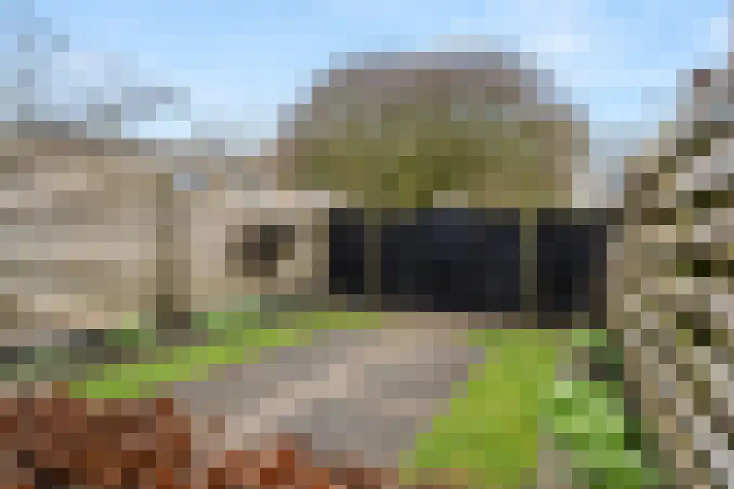 Dr. A. Kuyperstraat 5 Lunteren thumbnail 36