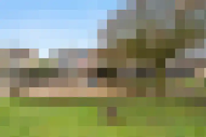 Dr. A. Kuyperstraat 5 Lunteren thumbnail 40