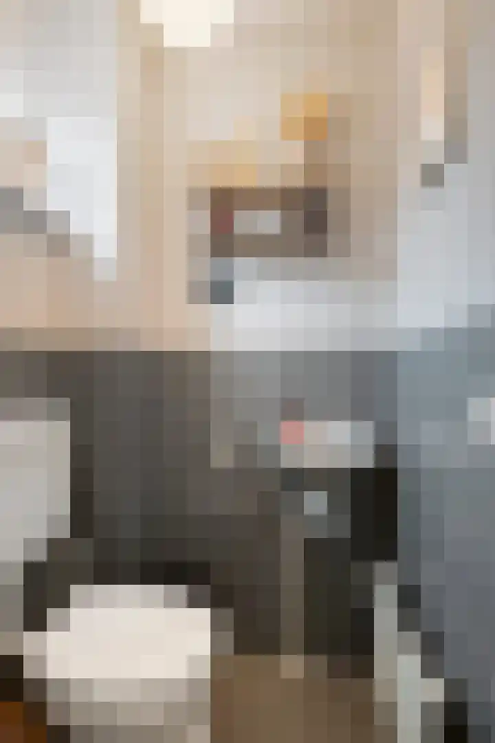 Dr. A. Kuyperstraat 5 Lunteren thumbnail 8