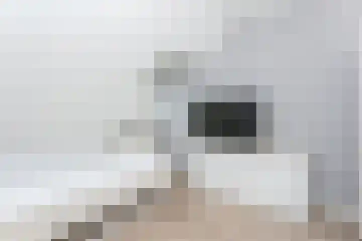 Dr. A. Kuyperstraat 81 Brunssum thumbnail 17