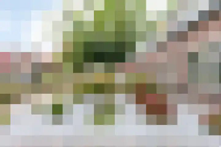 Dr. A. Kuyperstraat 81 Brunssum thumbnail 27