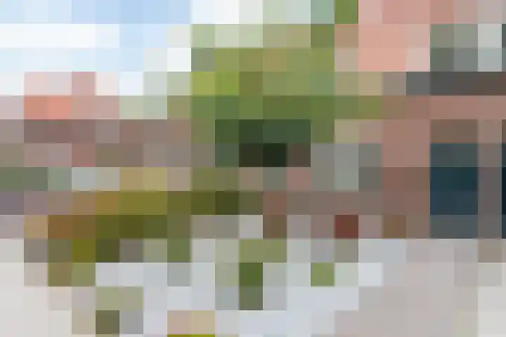 Dr. A. Kuyperstraat 81 Brunssum thumbnail 28
