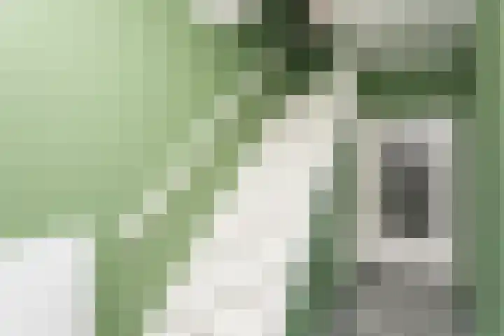 Dr. A. Kuyperstraat 81 Brunssum thumbnail 6
