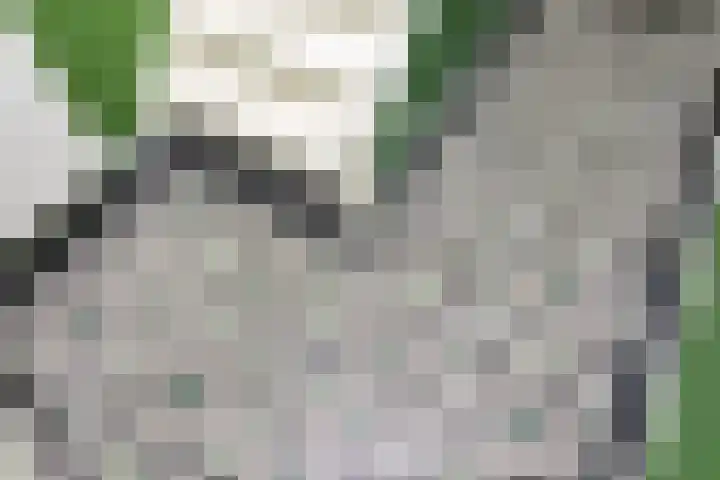 Dr. A. Kuyperstraat 81 Brunssum thumbnail 7
