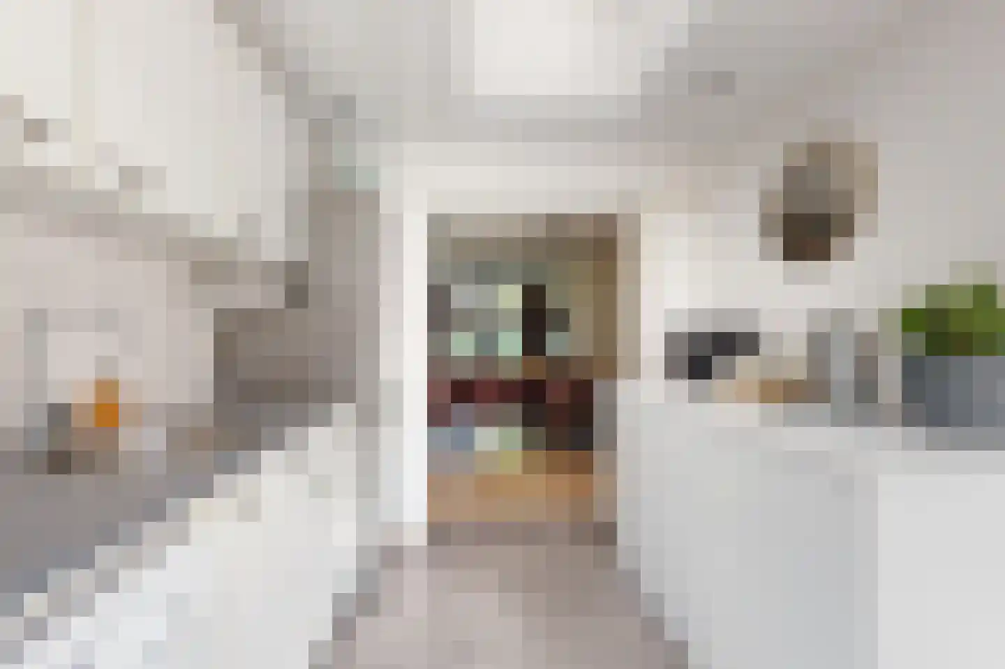 Dr. A. Kuyperstraat 83 Brunssum thumbnail 18