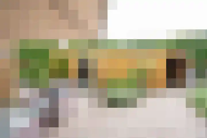Dr. A. Kuyperweg 10 Beesd thumbnail 29