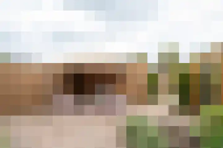 Dr. A. Kuyperweg 10 Beesd thumbnail 31