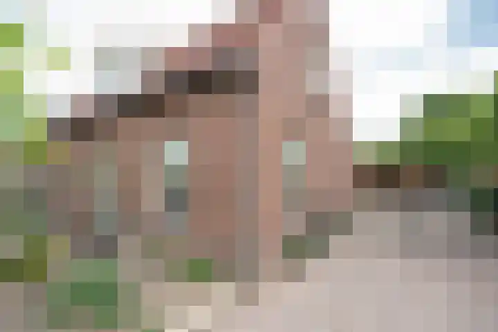 Dr. A. Kuyperweg 10 Beesd thumbnail 7