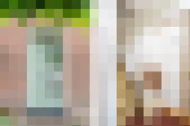 Dr. A. Kuyperweg 10 Beesd thumbnail 8