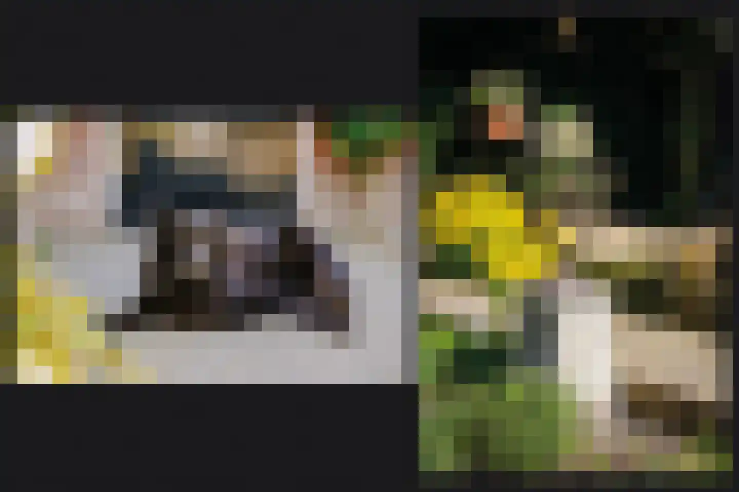 Dr. A. Kuyperweg 4 a Beesd thumbnail 24