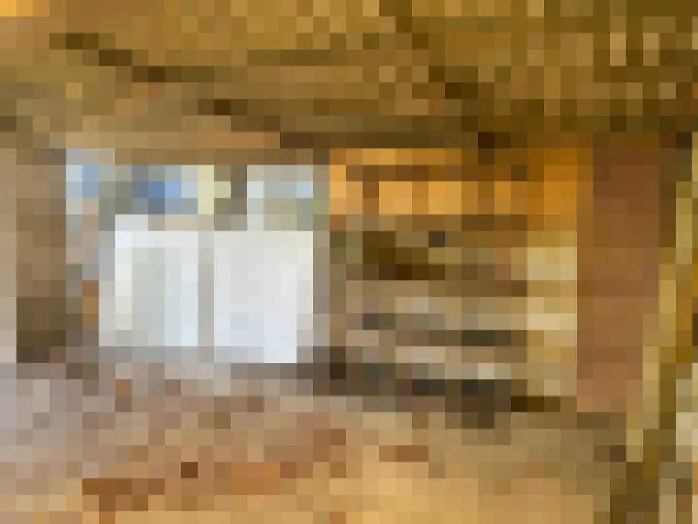 Dr. A. Plesmanstraat 14 Winterswijk thumbnail 37