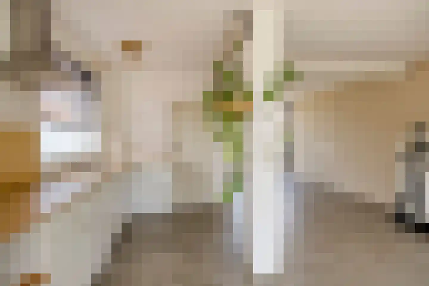 Dr. A. Plesmanstraat 14 Winterswijk thumbnail 6