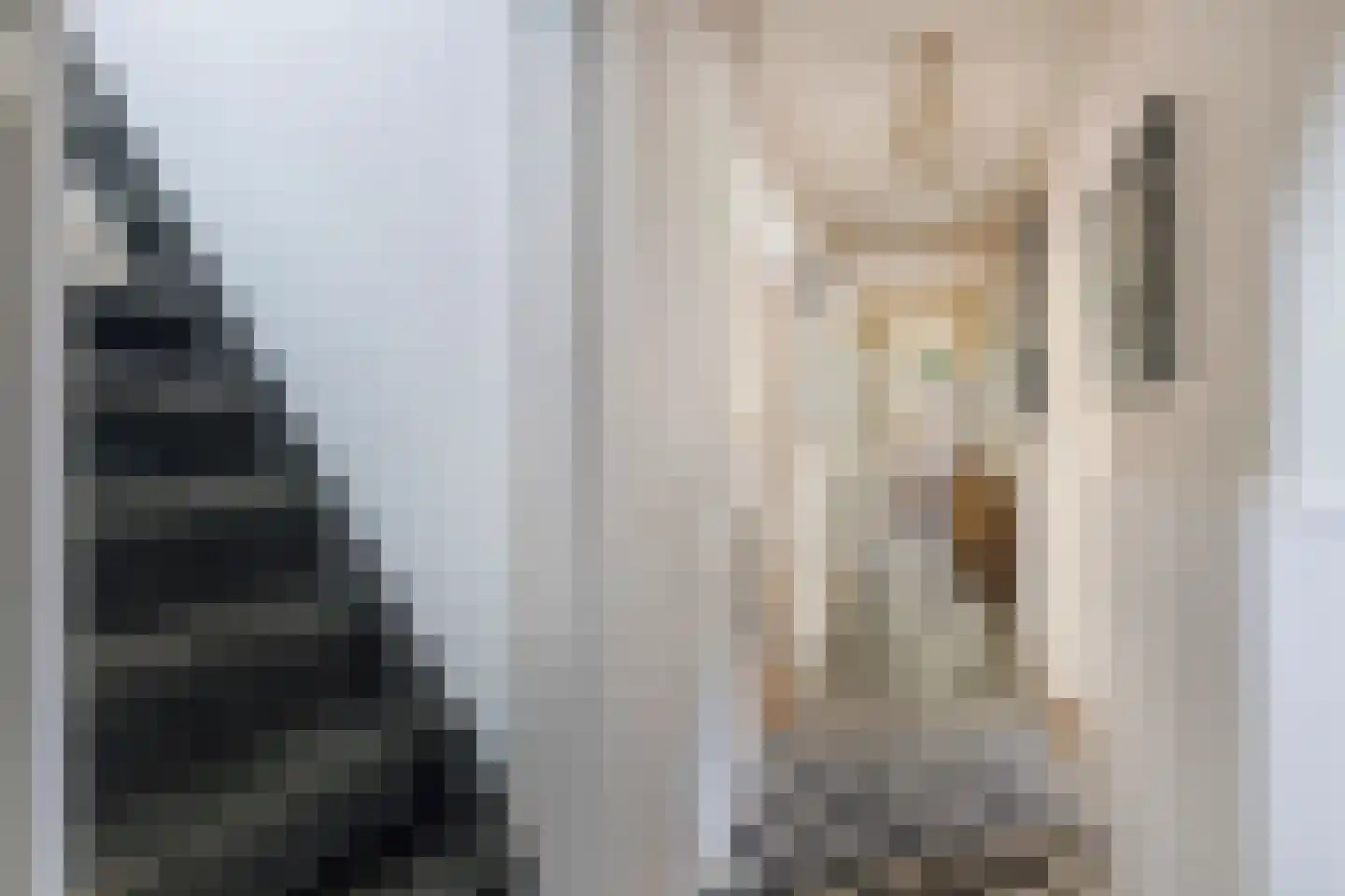 Dr. A.R. Holplein 8 Ingen thumbnail 11