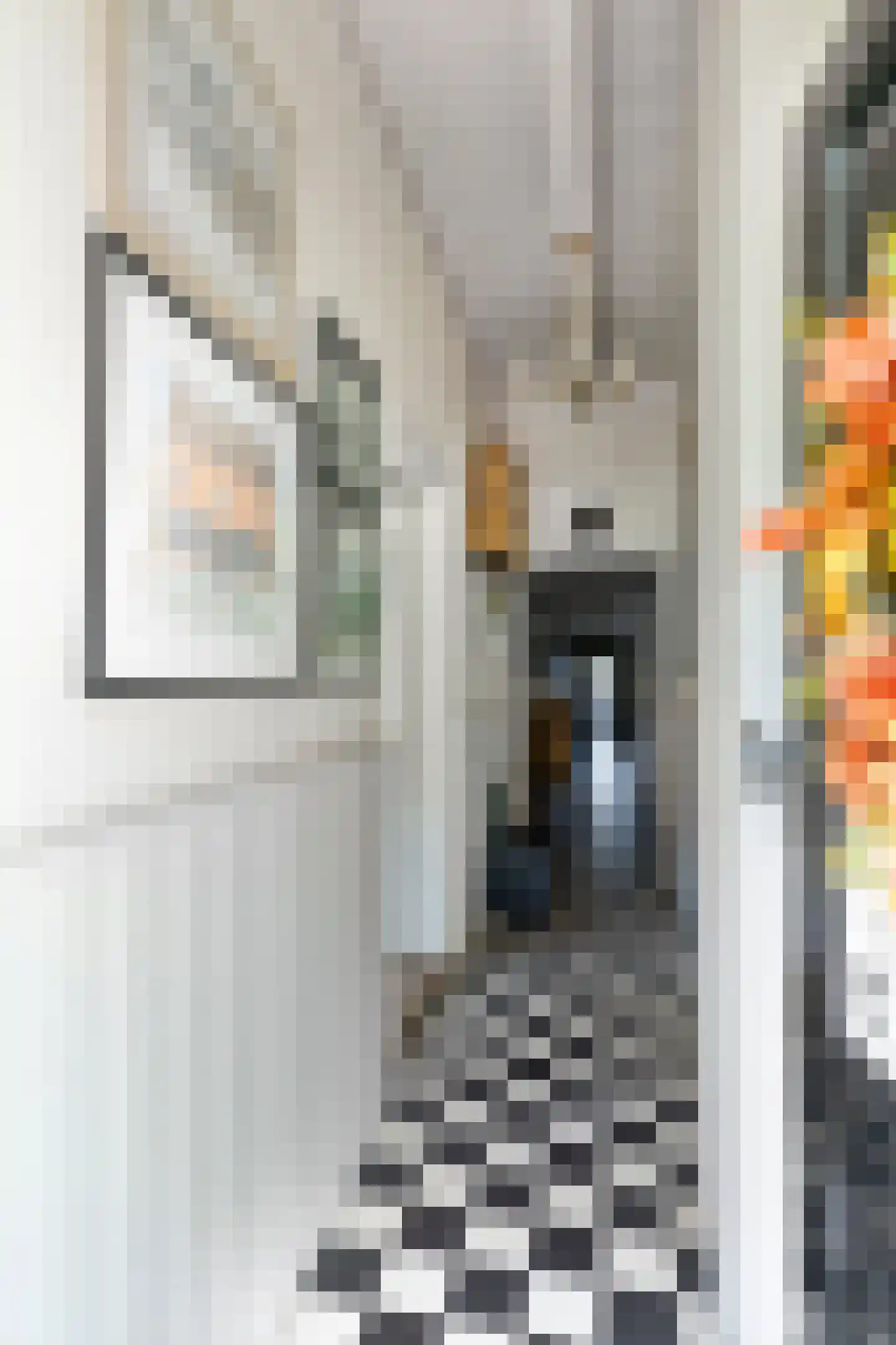 Dr. A.R. Holplein 8 Ingen thumbnail 13