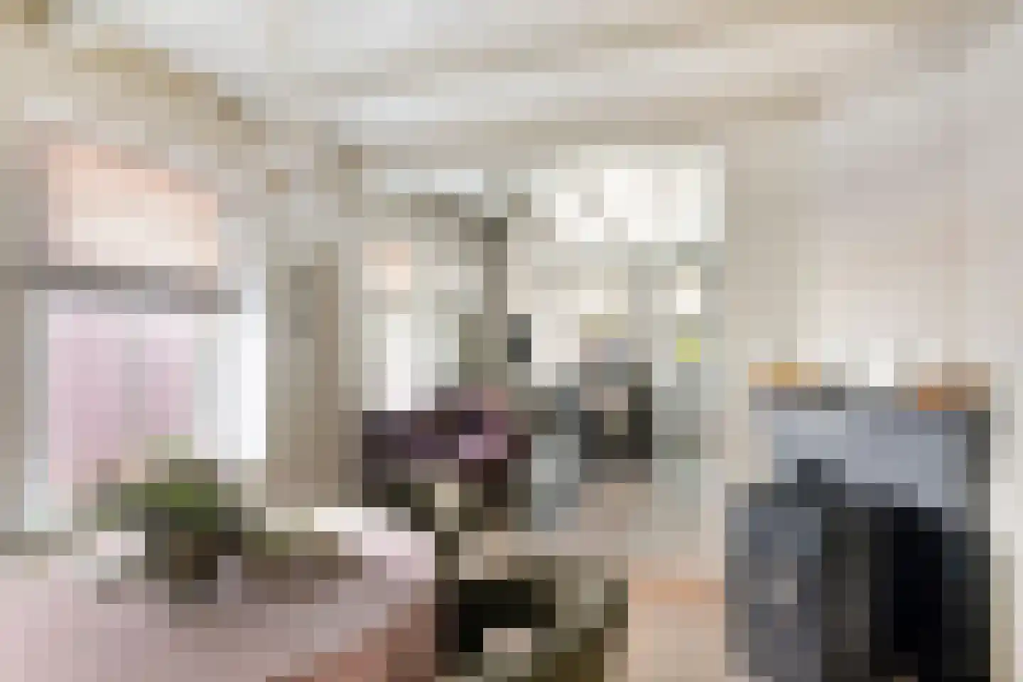 Dr. A.R. Holplein 8 Ingen thumbnail 15