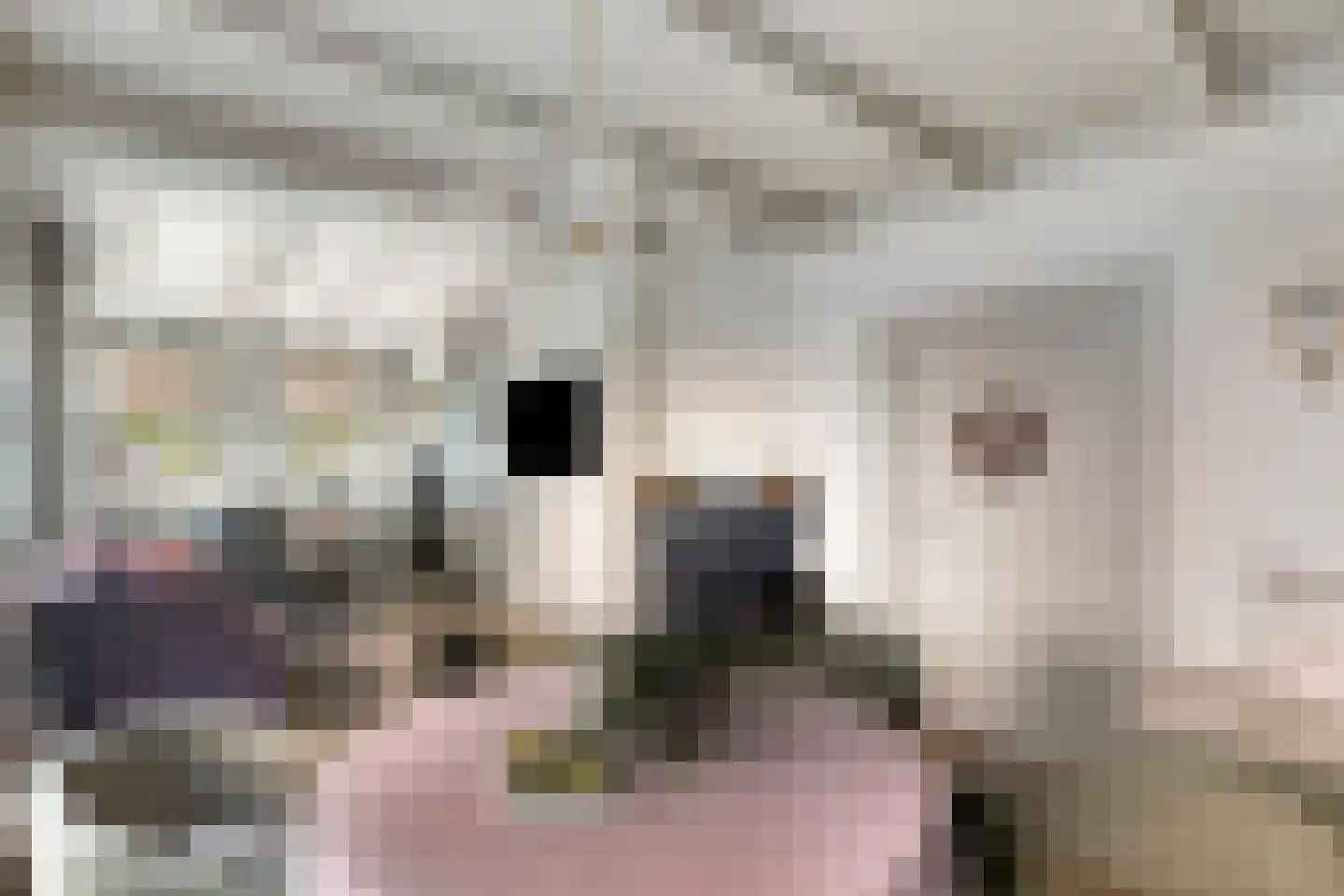 Dr. A.R. Holplein 8 Ingen thumbnail 16