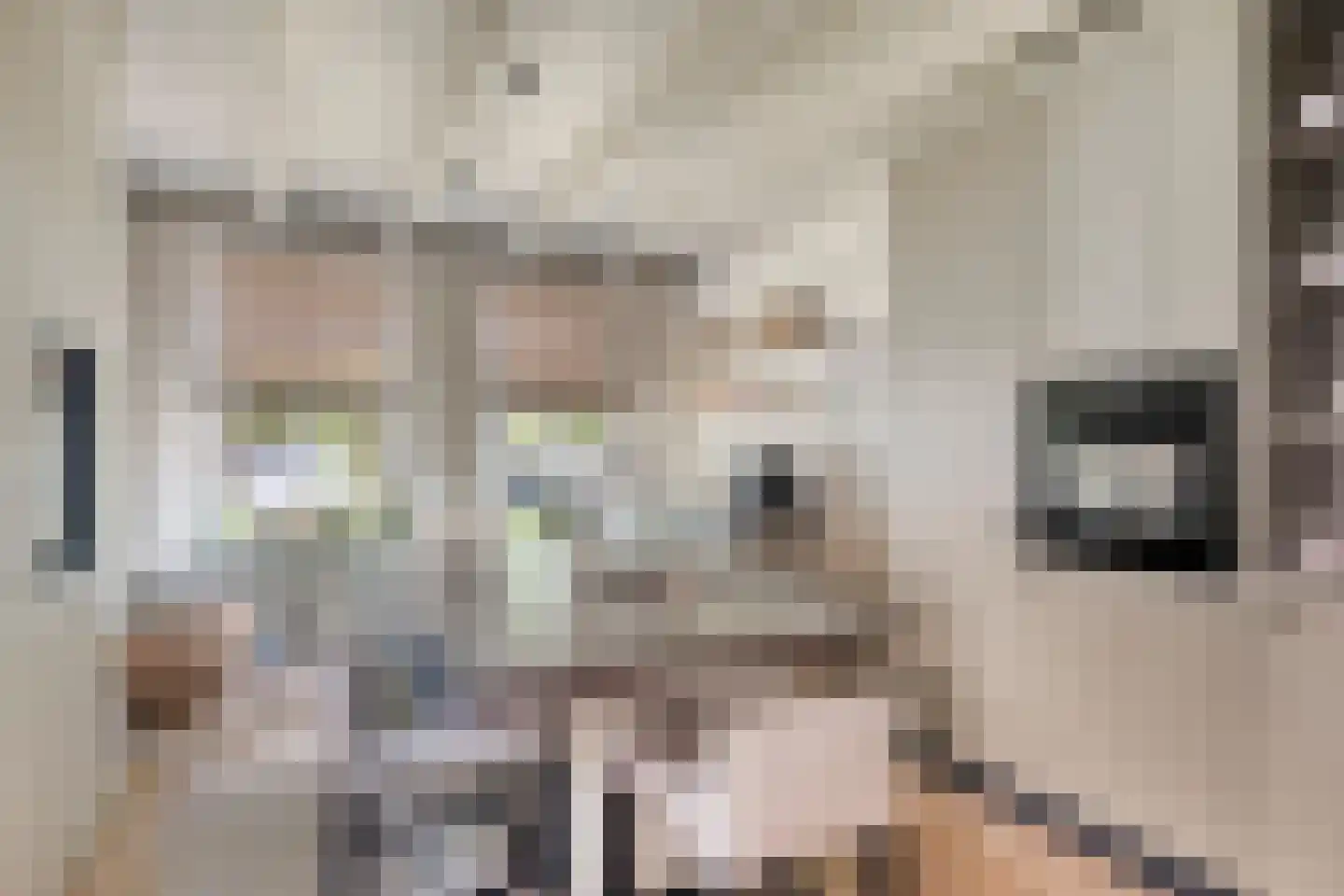 Dr. A.R. Holplein 8 Ingen thumbnail 17