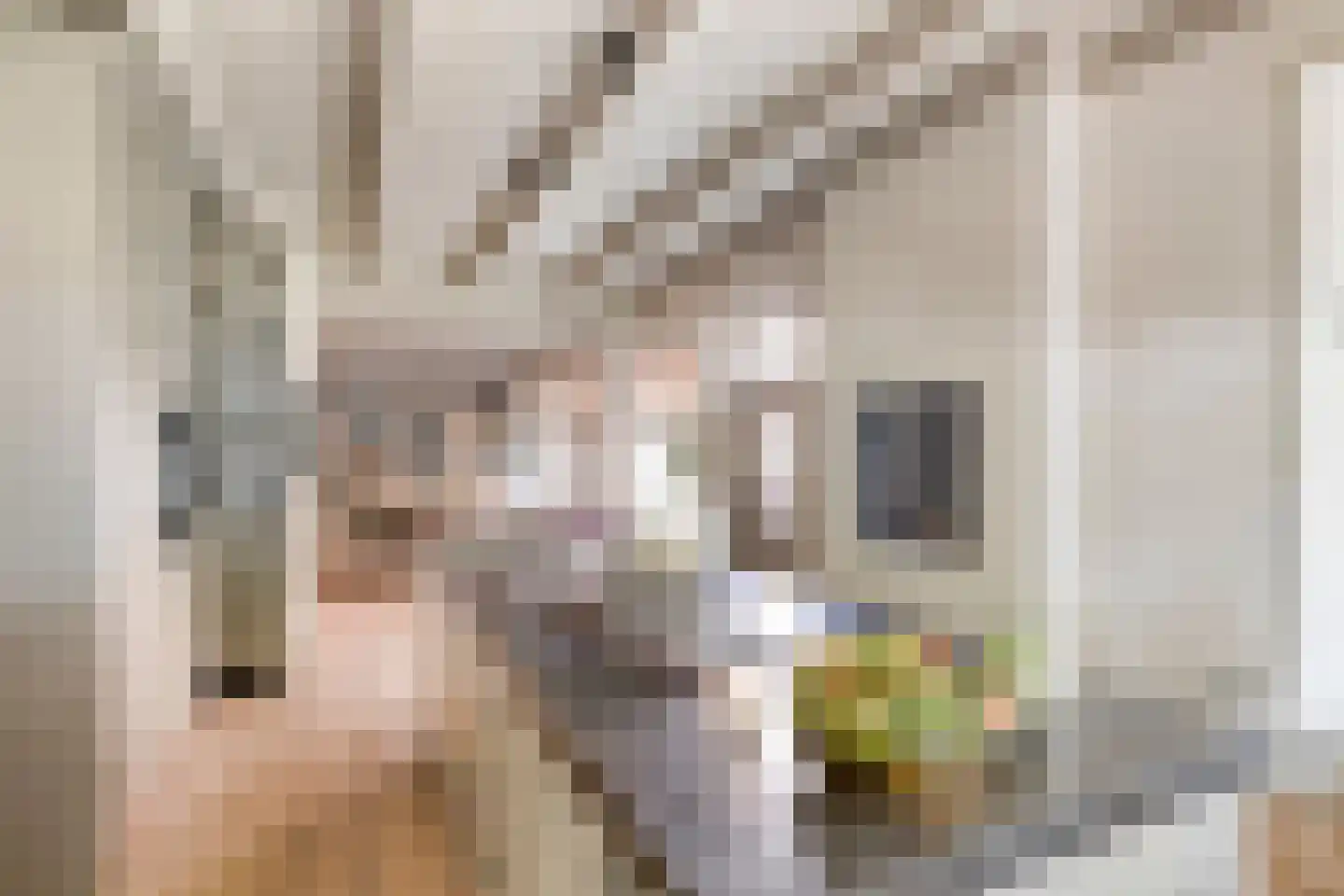 Dr. A.R. Holplein 8 Ingen thumbnail 18