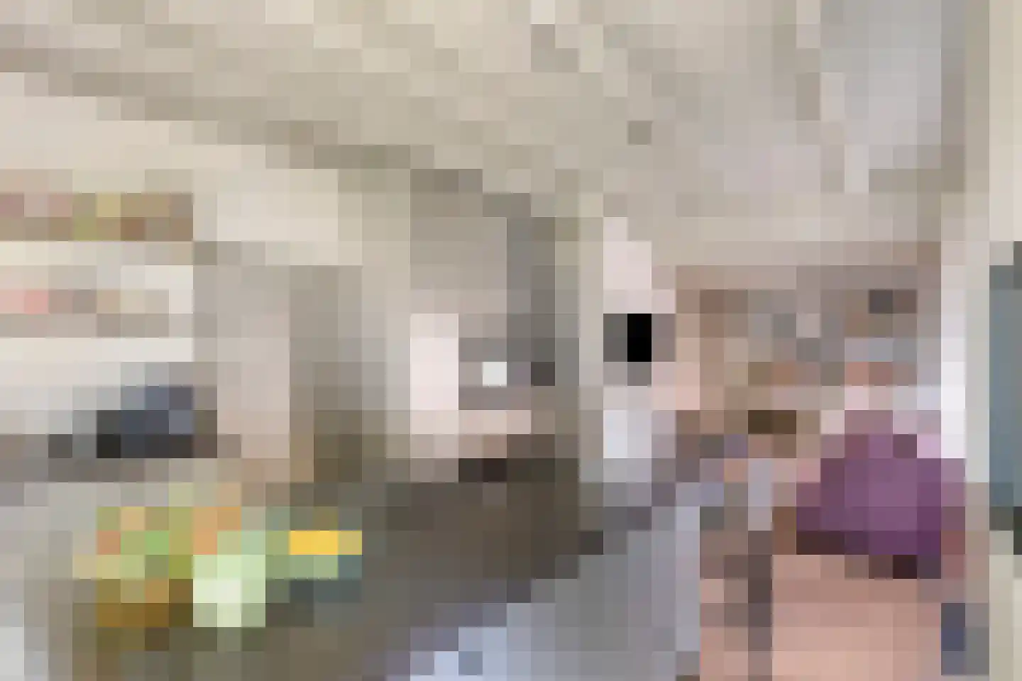 Dr. A.R. Holplein 8 Ingen thumbnail 20