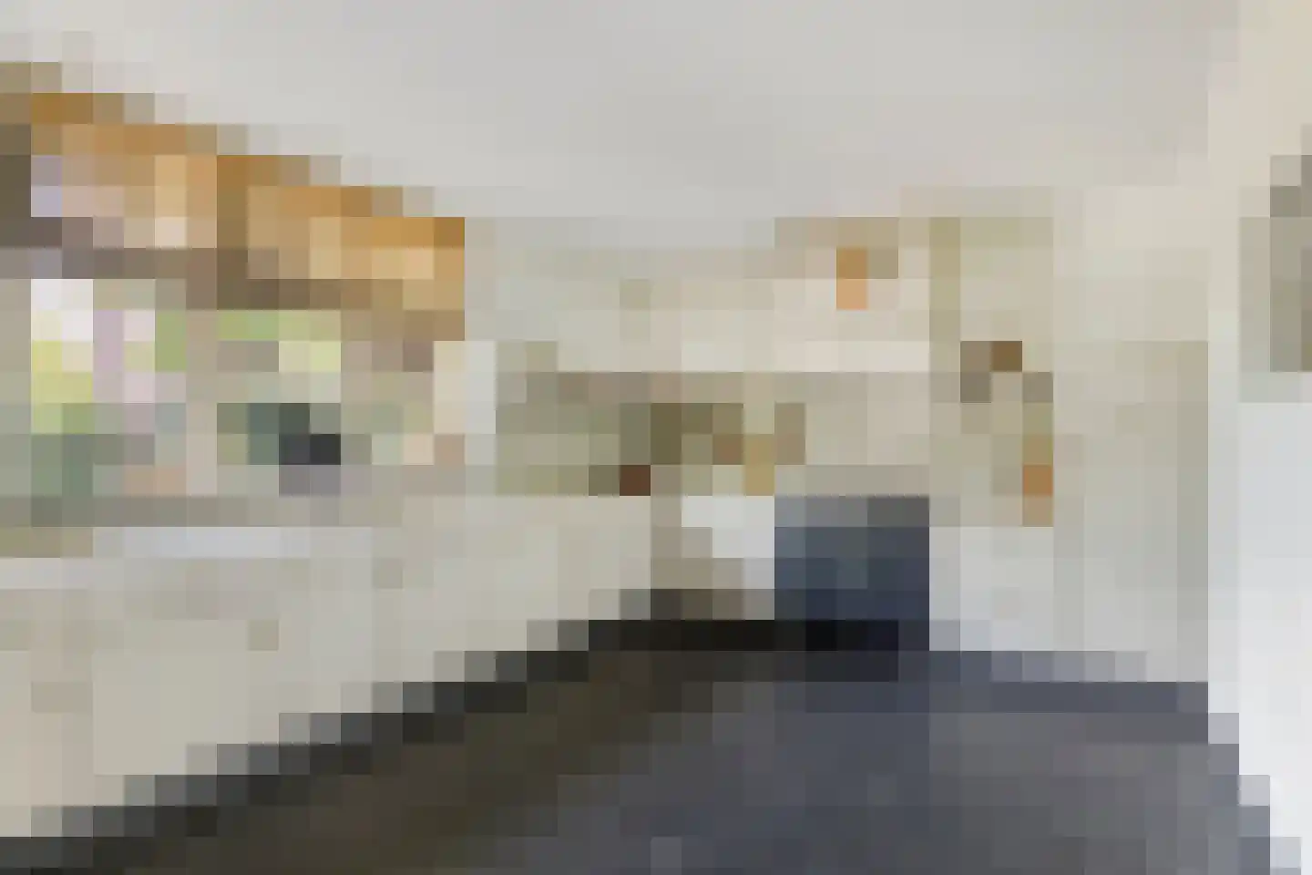 Dr. A.R. Holplein 8 Ingen thumbnail 22