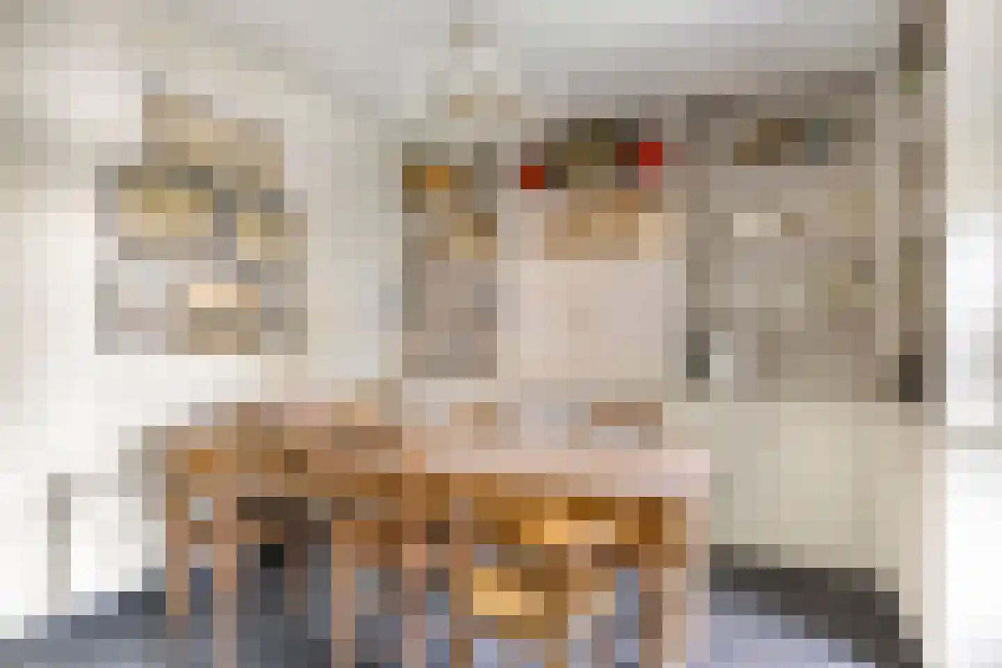 Dr. A.R. Holplein 8 Ingen thumbnail 23