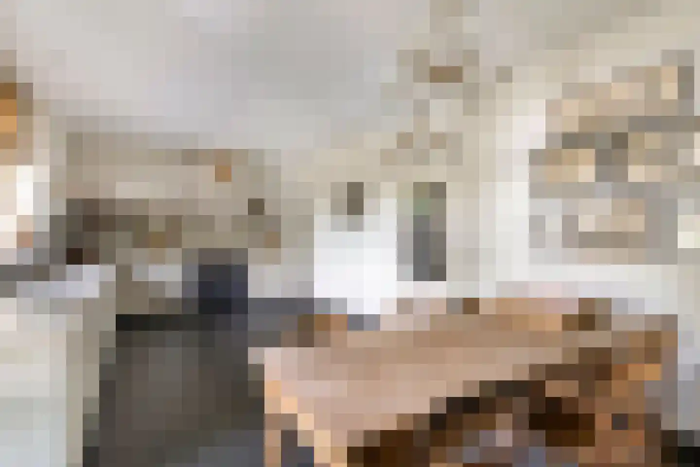 Dr. A.R. Holplein 8 Ingen thumbnail 24