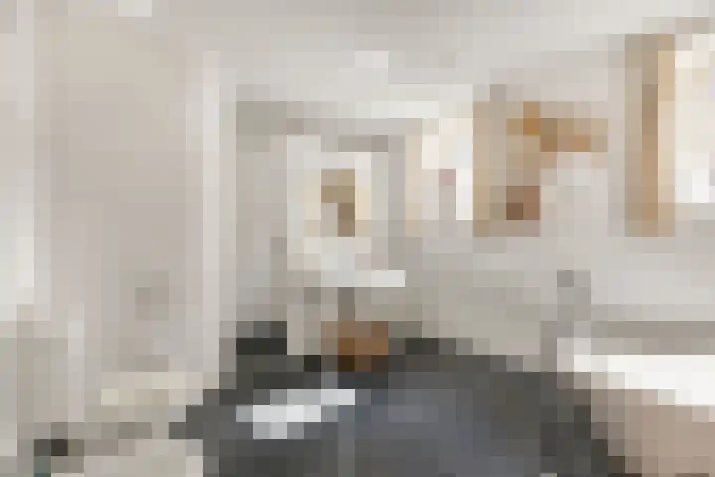 Dr. A.R. Holplein 8 Ingen thumbnail 25