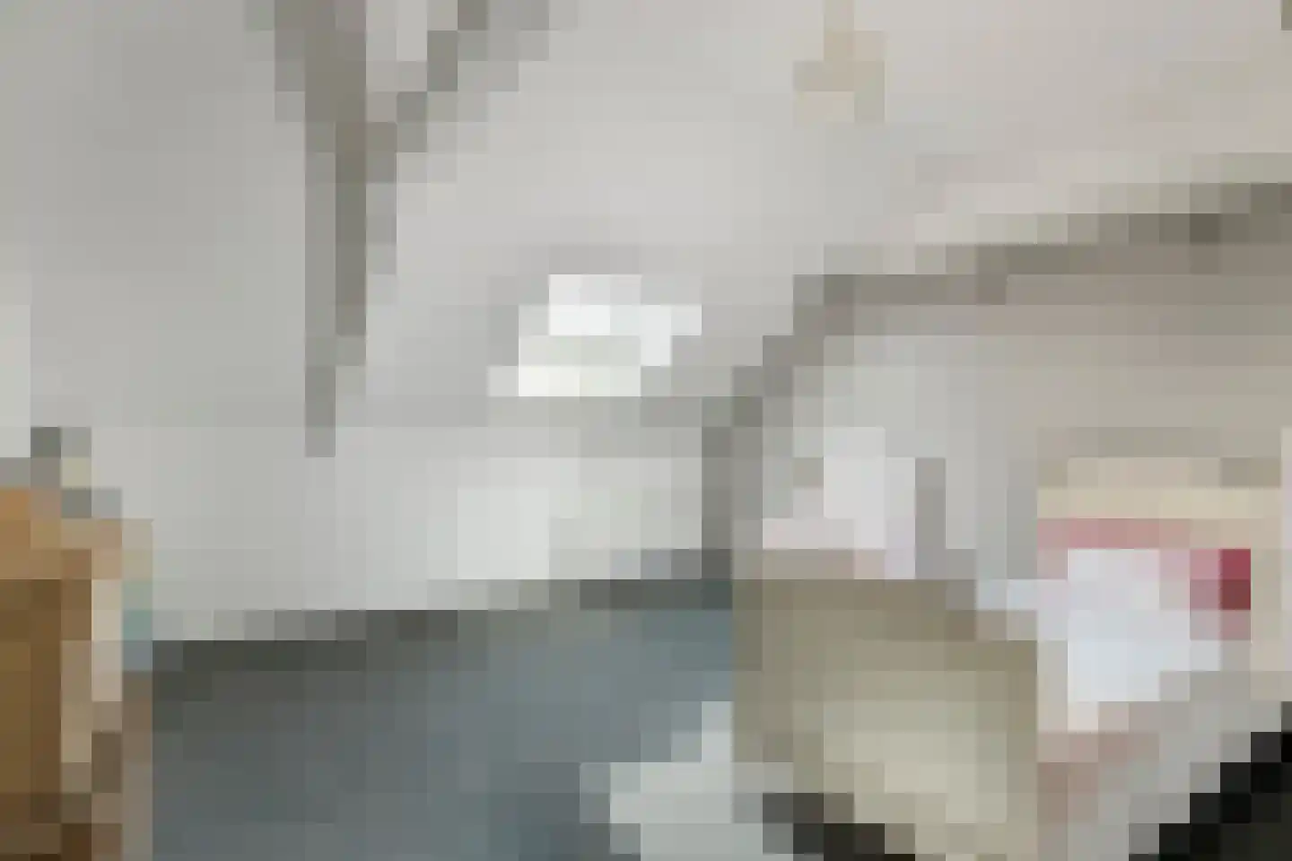Dr. A.R. Holplein 8 Ingen thumbnail 30