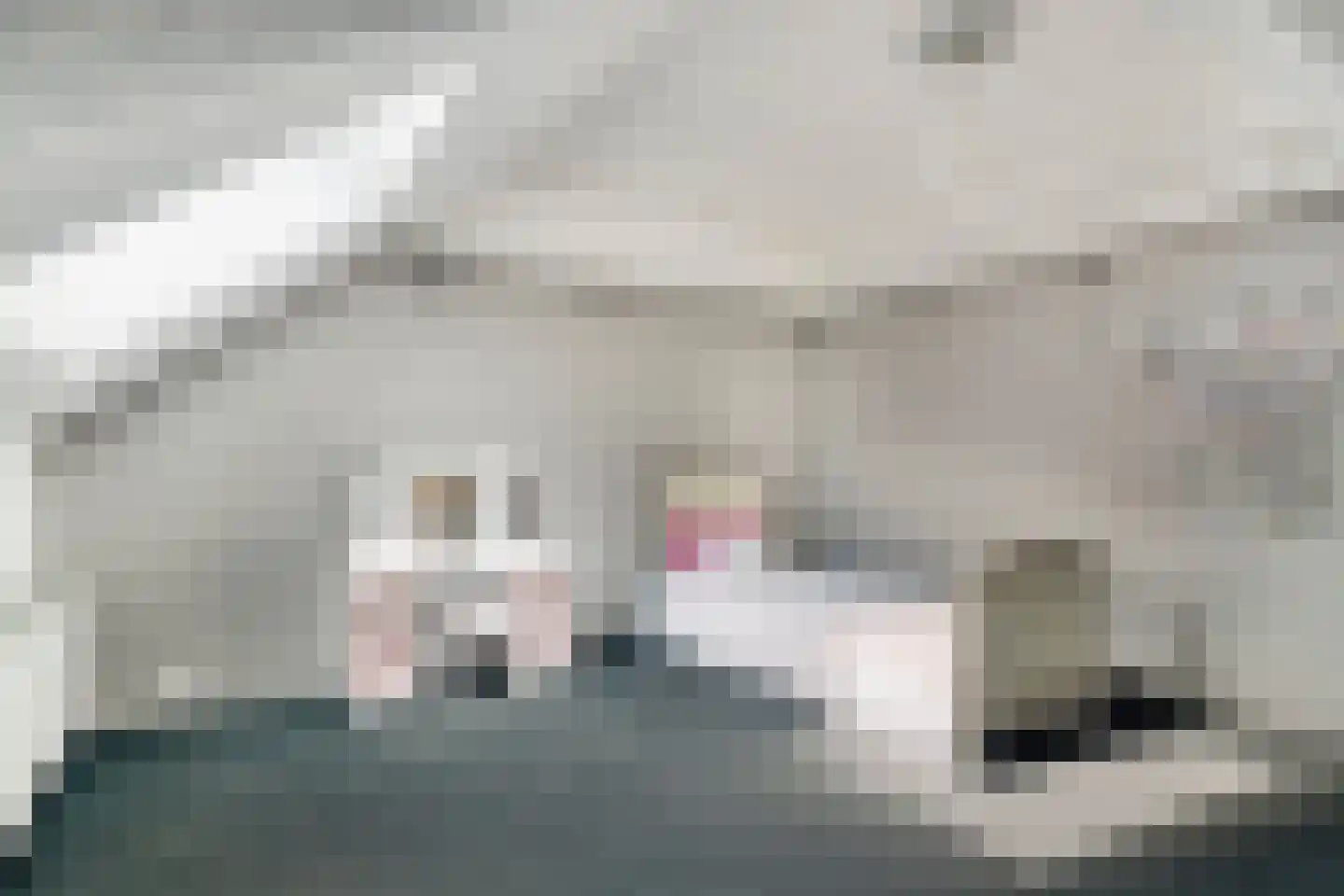 Dr. A.R. Holplein 8 Ingen thumbnail 31