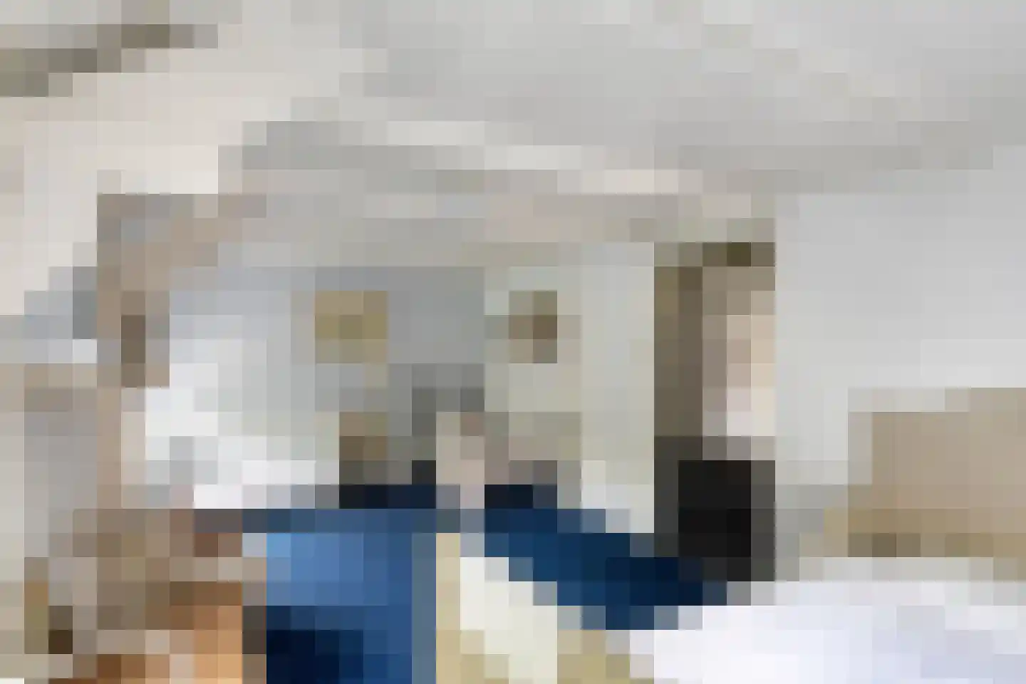 Dr. A.R. Holplein 8 Ingen thumbnail 33