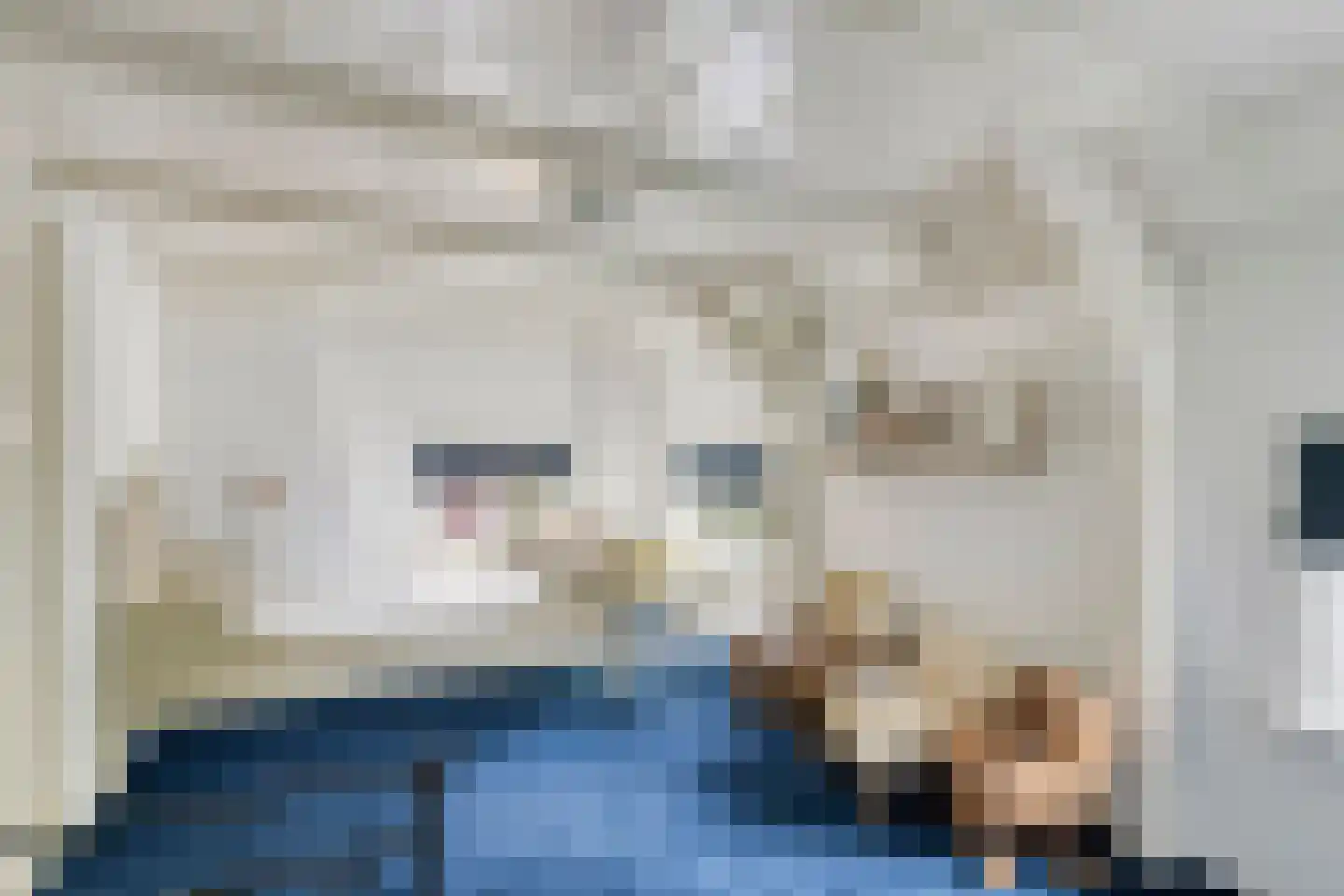 Dr. A.R. Holplein 8 Ingen thumbnail 34