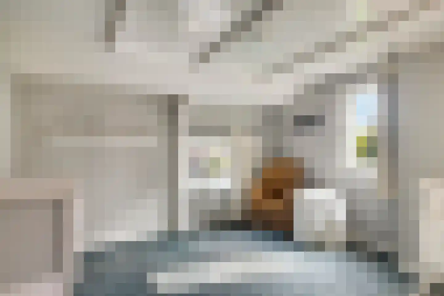 Dr. A.R. Holplein 8 Ingen thumbnail 35